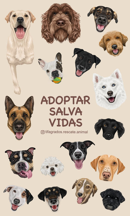 Toalla Salva Vidas